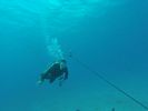 Hawaii Scuba divng 05