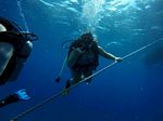 Hawaii Scuba divng 13