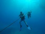 Hawaii Scuba divng 19