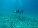 Hawaii Scuba divng 22