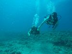 Hawaii Scuba divng 27