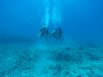 Hawaii Scuba divng 31