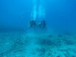 Hawaii Scuba divng 31