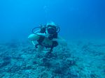 Hawaii Scuba divng 35