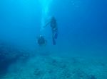 Hawaii Scuba divng 36