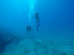 Hawaii Scuba divng 36