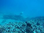 Hawaii Scuba divng 37