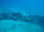 Hawaii Scuba divng 38