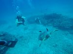 Hawaii Scuba divng 49