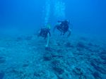 Hawaii Scuba divng 56