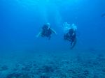 Hawaii Scuba divng 57