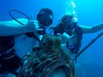 Hawaii Scuba divng 61