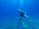 Hawaii Scuba divng 67