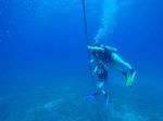 Hawaii Scuba divng 68