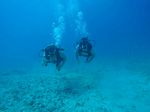 Hawaii Scuba divng 09