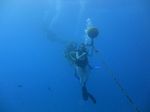 Hawaii Scuba divng 10