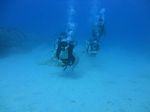 Hawaii Scuba divng 12