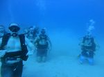 Hawaii Scuba divng 14