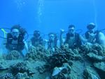 Hawaii Scuba divng 15