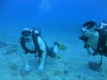 Hawaii Scuba divng 16