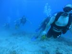 Hawaii Scuba divng 18