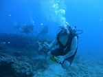 Hawaii Scuba divng 20