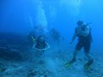 Hawaii Scuba divng 21