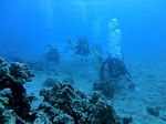 Hawaii Scuba divng 22