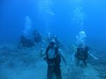 Hawaii Scuba divng 24