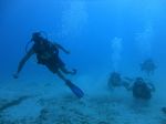 Hawaii Scuba divng 25