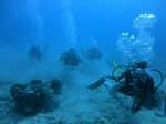 Hawaii Scuba divng 26