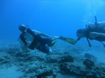 Hawaii Scuba divng 28