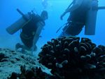 Hawaii Scuba divng 30