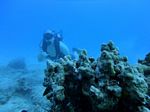 Hawaii Scuba divng 32