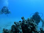 Hawaii Scuba divng 33