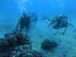 Hawaii Scuba divng 34