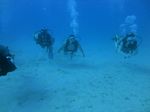 Hawaii Scuba divng 35