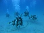 Hawaii Scuba divng 36