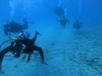 Hawaii Scuba divng 42