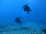 Hawaii Scuba divng 43