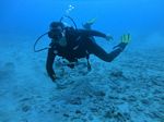 Hawaii Scuba divng 45