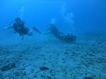 Hawaii Scuba divng 46