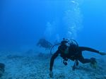 Hawaii Scuba divng 47