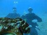 Hawaii Scuba divng 61