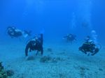 Hawaii Scuba divng 76