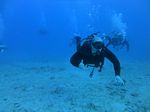 Hawaii Scuba divng 77