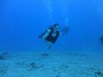 Hawaii Scuba divng 78