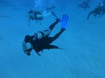 Hawaii Scuba divng 79