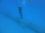 Hawaii Scuba divng 80