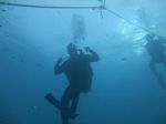 Hawaii Scuba divng 11